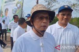 Pemkab Bangka Tengah tanam 3.300 bibit mangrove jaga ekosistem pesisir