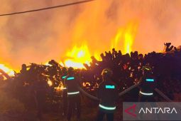 Polda Gorontalo: Kebakaran tumpukan kayu diduga akibat puntung rokok
