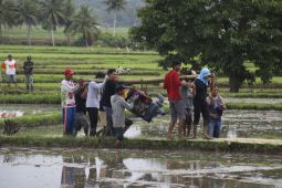 Kementan ,menyiapkan 56 ribu pompa air atasi kekeringan nasional