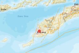 Gempa bumi magnitudo 5,5 guncang  Kupang pada Minggu malam