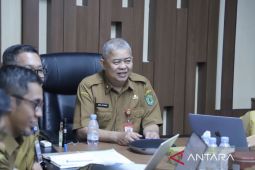 Pemprov Kaltim perkuat pelestarian mangrove melalui edukasi dan konservasi