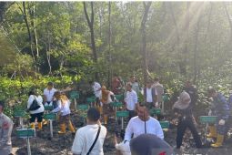 Pemprov Kaltim tanam 12.000 bibit mangrove di Pantau Lamaru Balikpapan