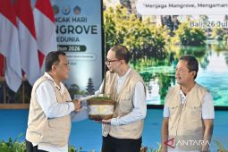 PLN Indonesia Power tanam 15 ribu bibit mangrove di Tahura Ngurah Rai