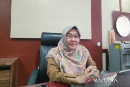 Produksi padi Jabar meningkat meski produktivitas terkikis