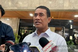 Mentan pastikan penanganan sawah terdampak Aceh berjalan bertahap