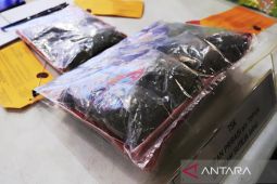 Polresta Banjarmasin bongkar rantai pasok ganja lewat penyamaran