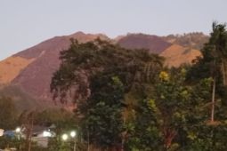 BPBD Probolinggo: Luas karhutla di Gunung Ringgit 4,5 hektare