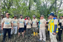 Pertamina tanam 10.000 Mangrove di Sungai Rengas Kubu Raya