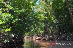 Mangrove Medan Mas jaga pesisir sekaligus dorong pertumbuhan ekonomi