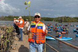 Industri kehutanan siap kontribusi pengelolaan mangrove berkelanjutan