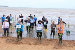 Pemprov Kepri tanam 1.000 bibit pohon mangrove di pesisir Pantai Pulau Dompak