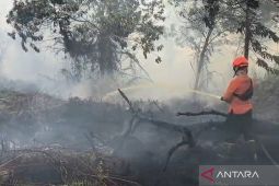 Dalkarhutla: Sulitnya sumber air hambat pemadaman karhutla di Kubu Raya