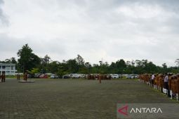 Pemkab Mimika percepat realisasi  penyerapan APBD