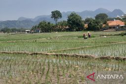 BP Mektan Jabar optimalkan pompanisasi bantu petani siap hadapi kemarau