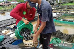 DKP Kaltim dorong realisasi Kampung Nelayan Merah Putih di Kukar