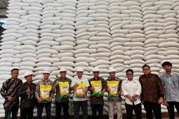 Bulog: Realisasi SPHP di Aceh capai 70 persen