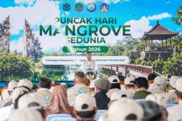 Wamenhut: Perlindungan hutan mangrove beri dampak sosial-ekonomi