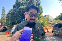 Bapanas usulkan Rp17,52 triliun untuk bantuan beras 33,2 juta KPM