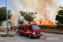 Respons sigap petugas berhasil padamkan kebakaran lahan kosong di Cikarang