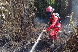 Manggala-Agni deteksi 218 hotspot di Singkawang sejak Februari 2026