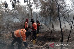 Titik api karhutla di perbukitan Probolinggo kembali menyala