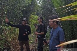 Desa Medan Mas lindungi kawasan mangrove lewat perdes