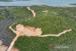 PT GTP ditetapkan jadi tersangka kasus perambahan hutan lindung