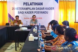 Pasti-Papua perkuat kapasitas kader posyandu dukung penurunan stunting