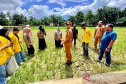 Pemkab Aceh Barat mulai salurkan 200 unit pompa air atasi kekeringan