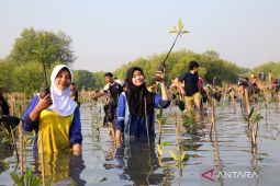 BRIDA Surabaya targetkan KRM Gunung Anyar miliki 100 jenis mangrove