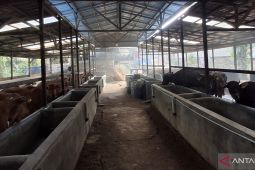 Pemdes Bukit Permata siapkan program biogas di setiap RT