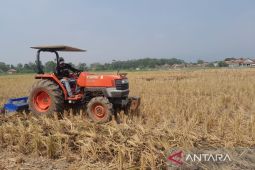 Distan Cirebon uji coba program PMAAS di empat kecamatan untuk tingkatkan hasil padi