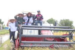 Panen padi bersama PM-AAS, Kodim 0432 Bangka Selatan dukung ketahanan pangan nasional