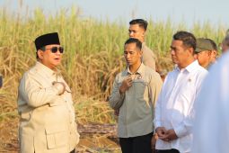 Mentan tegaskan pabrik gula wajib miliki kebun tebu demi swasembada