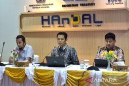 DJPb: Pendapatan APBN di Papua Barat dan Papua Barat Daya pada Juni Rp1,02 triliun