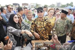 Pemprov Kaltim jadikan Kabupaten Berau wilayah percontohan penyedia ikan murah