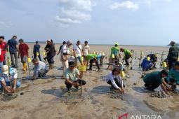 Wabup Belitung ajak masyarakat ikut lestarikan hutan bakau