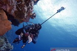 Pemprov Maluku bentuk UPTD pengelola kawasan konservasi