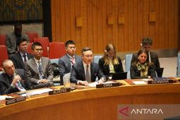 Nigeria serukan dua kursi permanen Dewan Keamanan PBB untuk Afrika