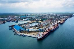Pelindo Multi Terminal catat peningkatan bongkar muat curah kering