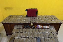 Polresta Sorong tangkap perempuan pengedar ganja 5,4 kilogram