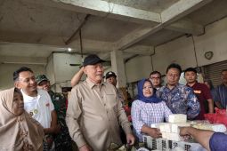 Anggota DPR RI pastikan harga bahan pokok aman