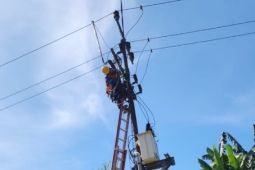 PLN lakukan penyulang gabungan di Labusel jaga kualitas pelayanan