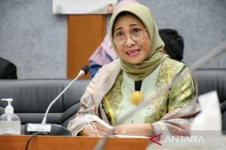 Komisi X DPR minta satuan pendidikan perkuat sistem perlindungan anak