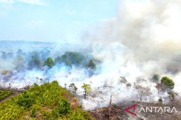 WALHI desak evaluasi konsesi cegah karhutla di Kalbar