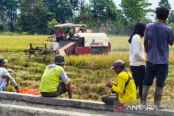 Distrik Nabire Barat siapkan Gerakan Wajib Tani tingkatkan kesejahteraan