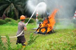 PTPN IV PalmCo perketat patroli dan mitigasi karhutla di 4 provinsi