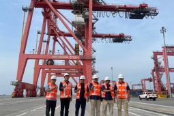 Direktur Teknik PT Pelindo tinjau infrastruktur Terminal Peti Kemas di Belawan