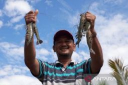 Lima komoditas ekspor perikanan Kaltim tembus pasar global