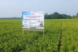 Distan Lebak siapkan 201 pompa air untuk hadapi musim kemarau